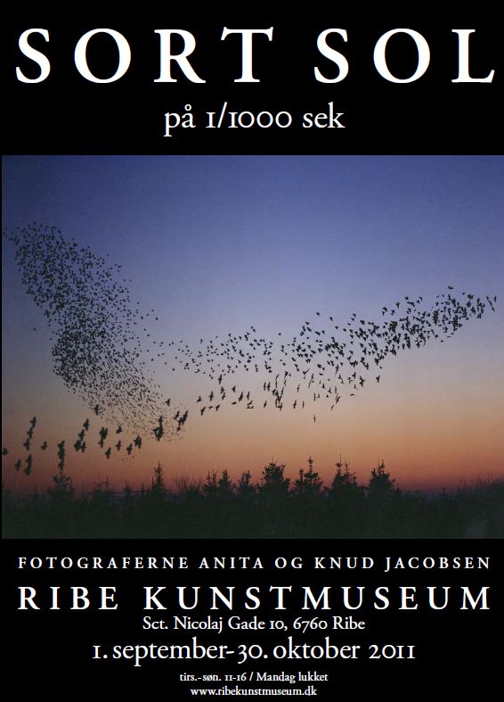 Sort Sol Udstilling p� Ribe Kunstmuseum